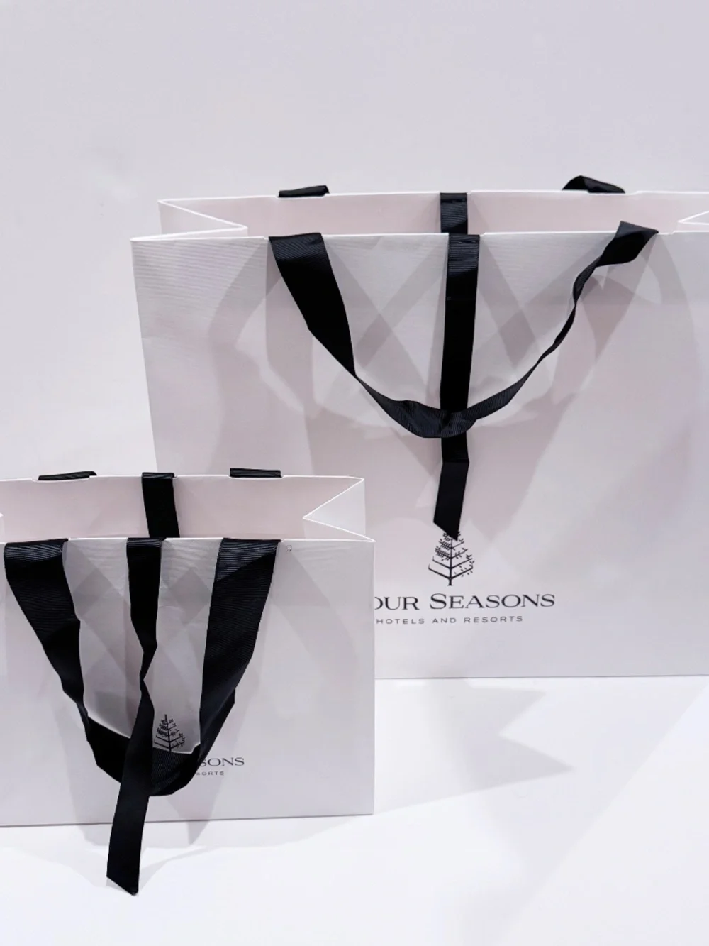 Four Seasons Hotels & Resorts Gift Bags Set of 2